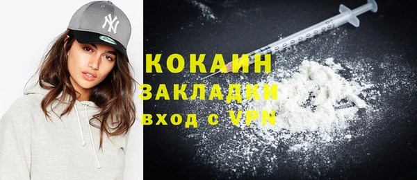 шишки Алзамай
