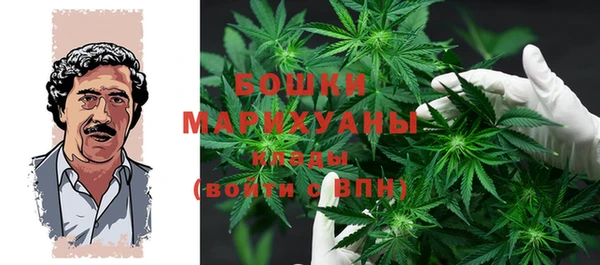 метадон Алексин